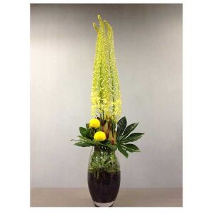 Arrangement of Cut Flowers