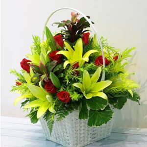 Red and Green Flowers in Basket